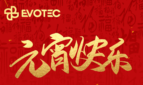 元宵快樂(lè)