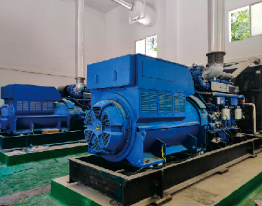 安徽池祁高速公路項(xiàng)目（2臺900KW10.5KV高壓發(fā)電機(jī)）