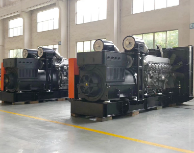歐洲出口項(xiàng)目（2臺1500KW6300V高壓發(fā)電機(jī)）