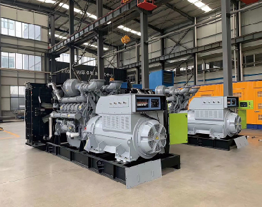 歐洲出口項(xiàng)目（帕金斯配德科2臺1250KW6300V高壓發(fā)電機(jī))